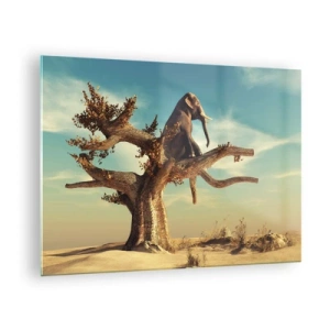 Cuadro sobre vidrio - Impresiones sobre Vidrio - Un elefante sentado en un árbol con el desierto como fondo. - 70x50cm - Un nuevo punto de vista - Decoración de pared moderna para salón y dormitorio ARTTOR