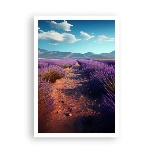 Póster - Campos fragantes - 70x100 cm