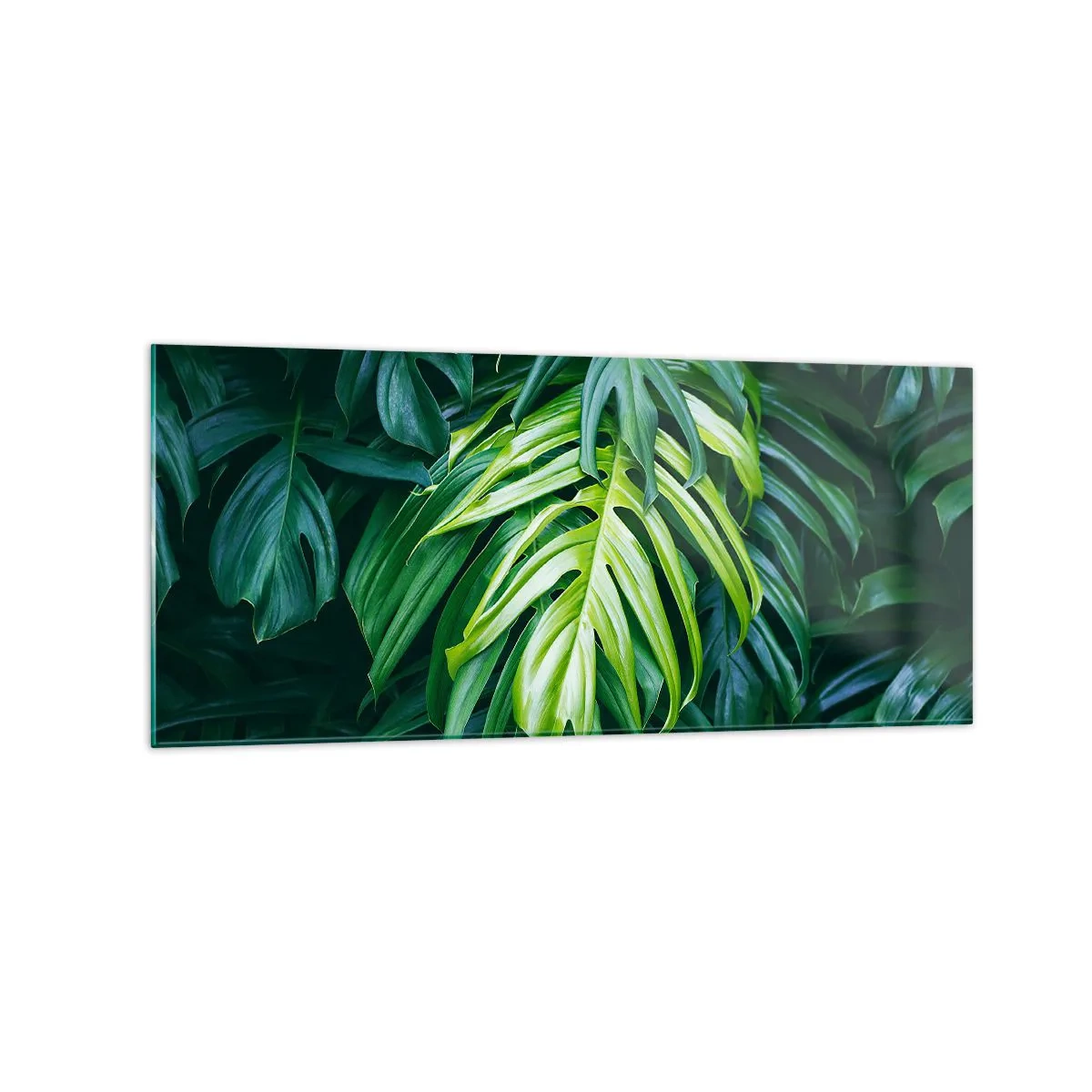 Cuadro sobre vidrio - Impresiones sobre Vidrio - Hojas verdes en un denso arreglo tropical. - 120x50cm - Sumérjase en la frescura - Decoración de pared moderna para salón y dormitorio ARTTOR
