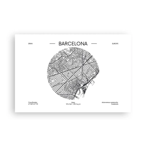 Póster - Anatomía de Barcelona - 91x61 cm