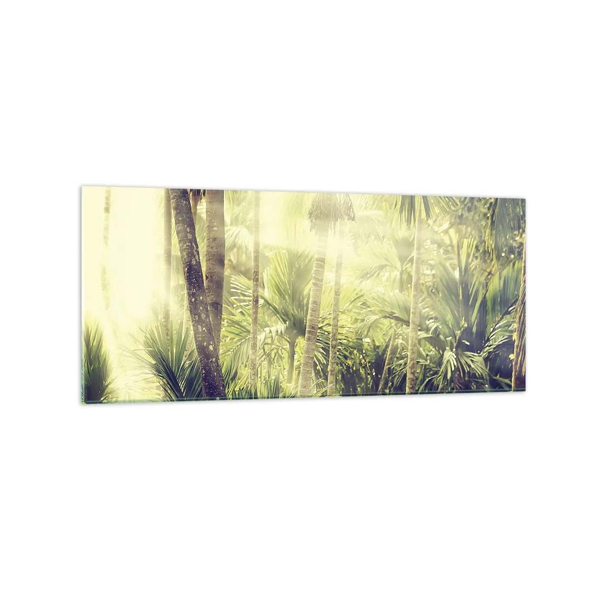 Cuadro sobre vidrio - Impresiones sobre Vidrio - Rayos de sol en un bosque tropical de palmeras - 120x50cm - En el cálido verde - Decoración de pared moderna para salón y dormitorio ARTTOR