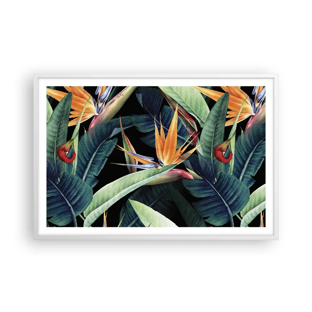 Póster en marco blanco - Flores de llamas de los trópicos - 91x61 cm