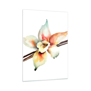 Cuadro sobre vidrio - Impresiones sobre Vidrio - Ilustración en acuarela de una flor de vainilla sobre un fondo blanco. - 50x70cm - Dulzura salpicada de pintura - Decoración de pared moderna para salón y dormitorio ARTTOR