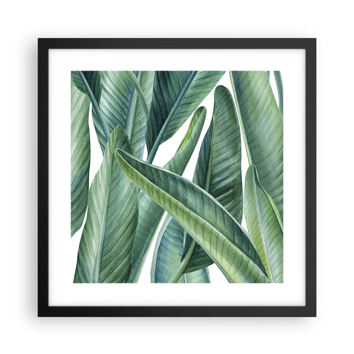 Póster en marco negro - Vegetación en estado puro - 40x40 cm