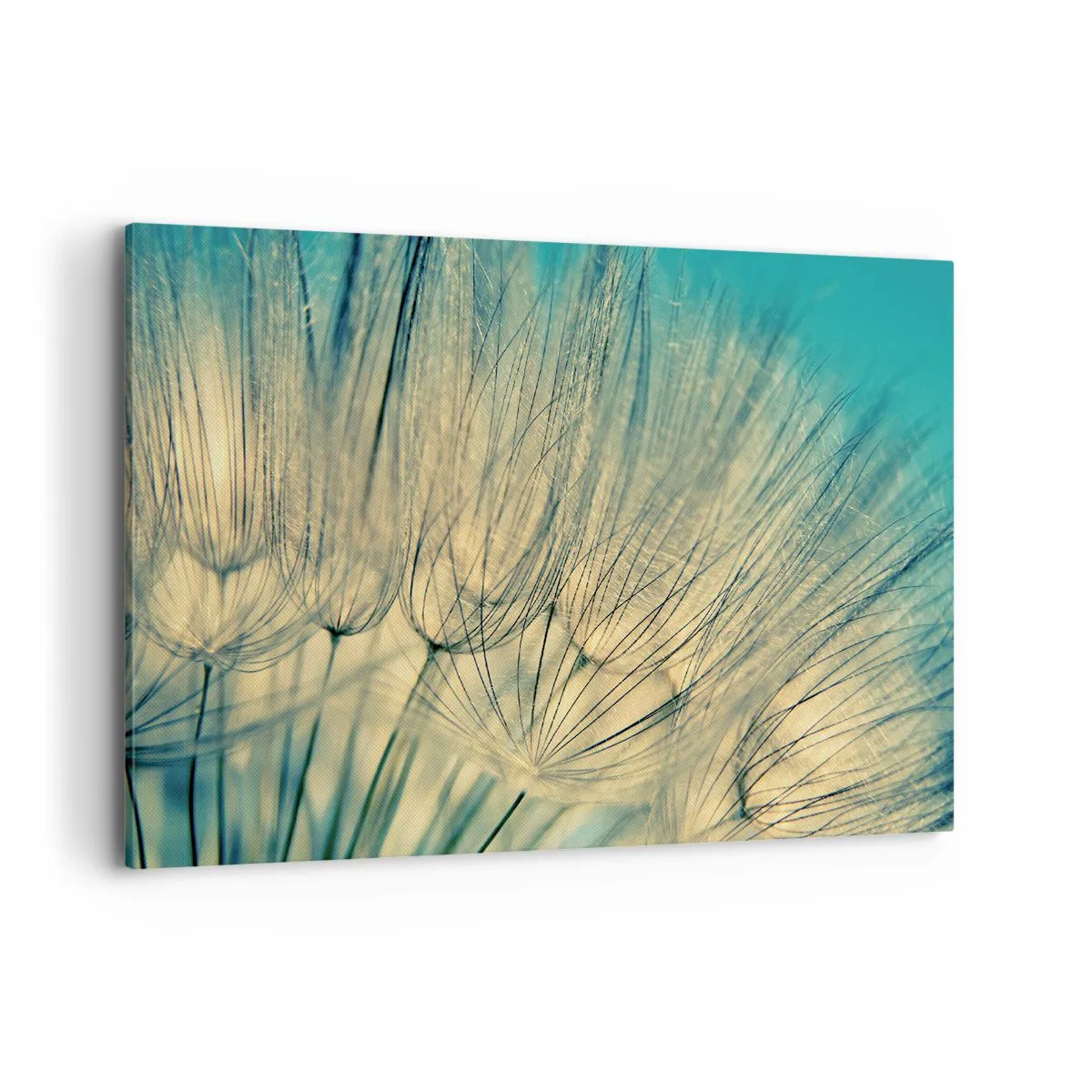 Cuadro sobre lienzo - Impresión de Imagen - Fotografía macro de dientes de león a la luz del día. - 120x80cm - Esperando el viento - Decoración de pared moderna para salón y dormitorio ARTTOR