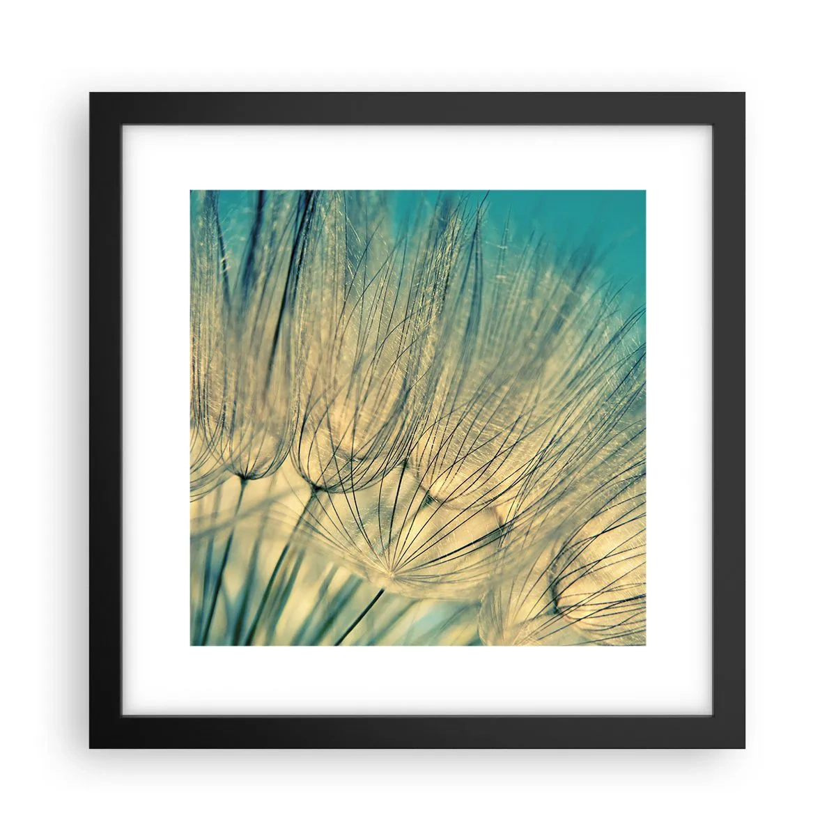 Póster en marco negro - Esperando el viento - 30x30 cm