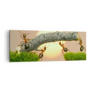 Cuadro sobre lienzo - Impresión de Imagen - Hormigas construyendo un puente de ramas con el sol poniente como telón de fondo. - 140x50cm - Trabajar juntos con alegría - Decoración de pared moderna para salón y dormitorio ARTTOR