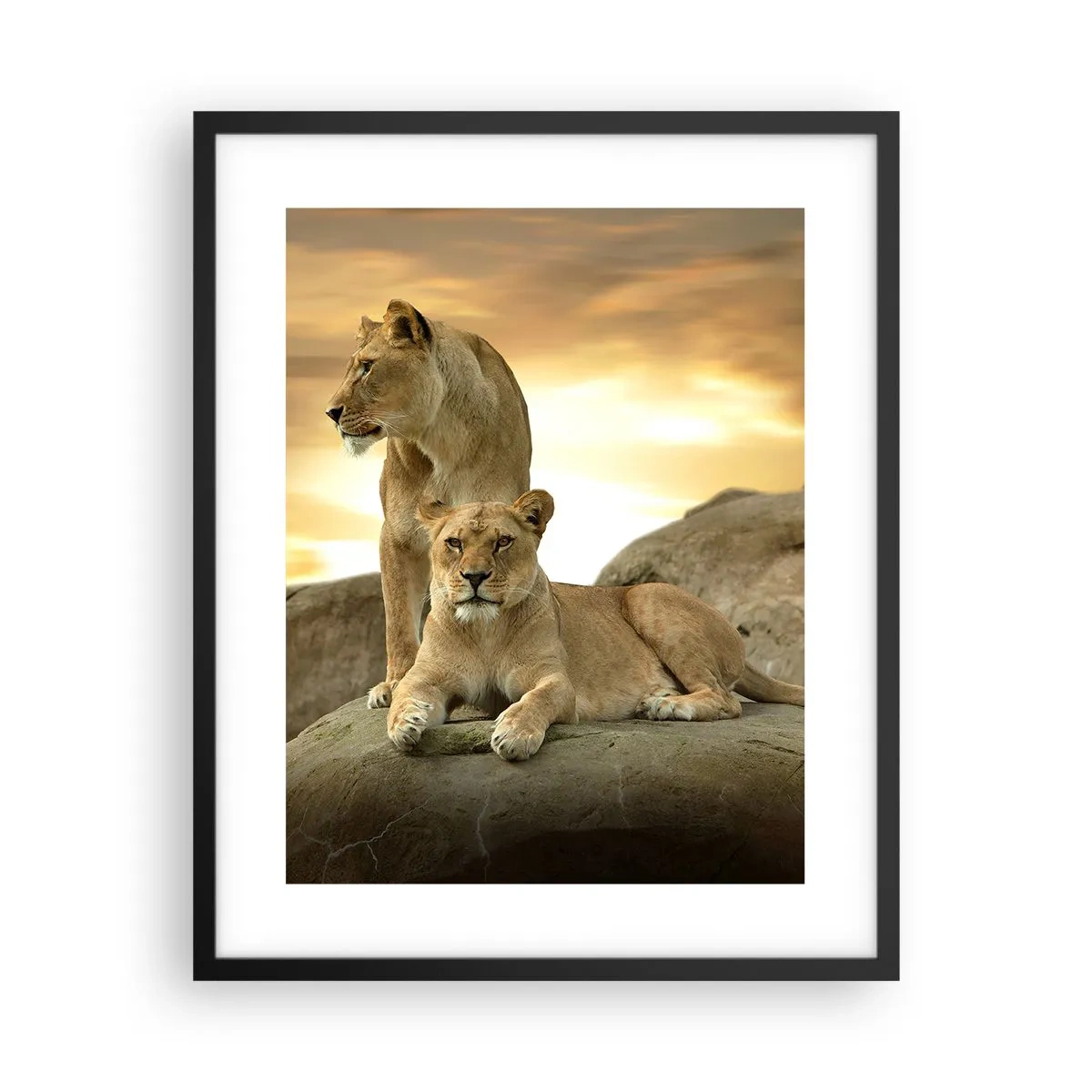 Póster en marco negro - Majestuosidad real - 40x50 cm