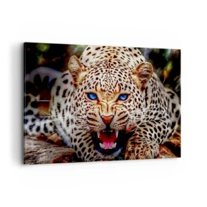 Cuadro sobre lienzo - Impresión de Imagen - Un leopardo amenazante con intensos ojos azules. - 100x70cm - La ira no daña la belleza - Decoración de pared moderna para salón y dormitorio ARTTOR