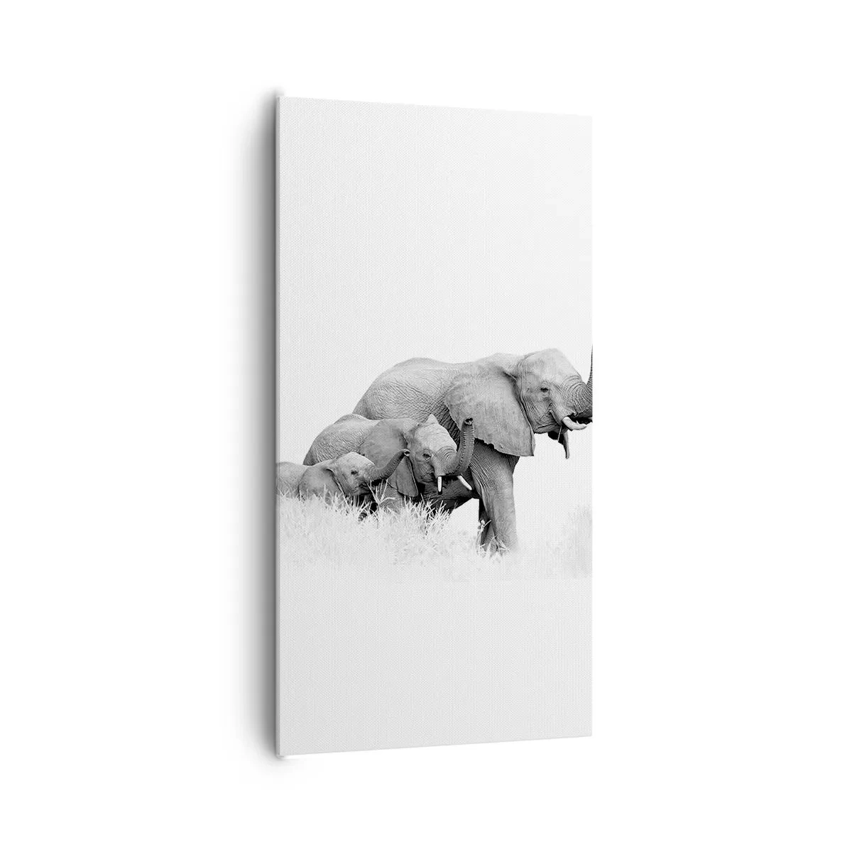 Cuadro sobre lienzo - Impresión de Imagen - Uno, dos, tres - 65x120 cm