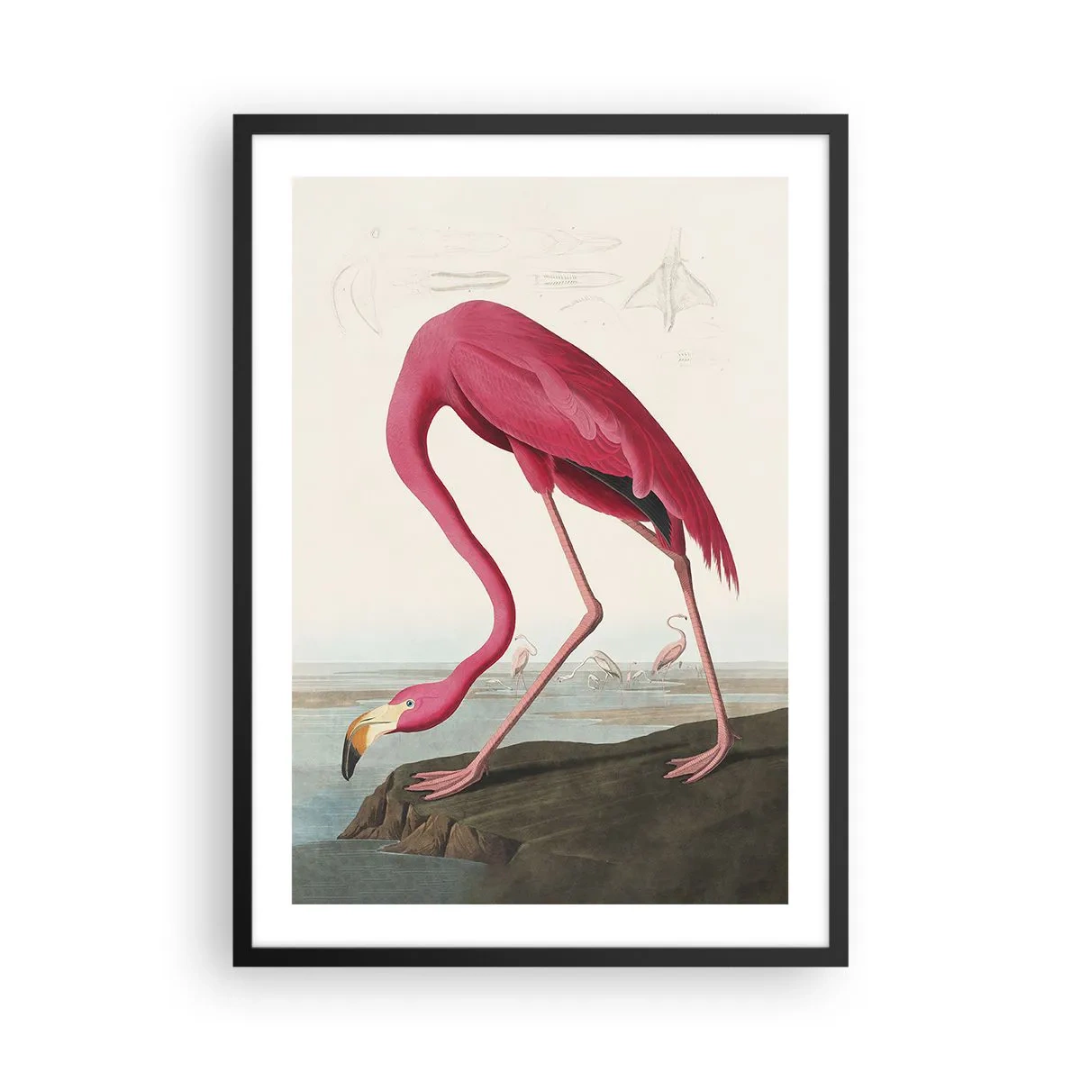 Póster en marco negro - Un flamenco rosado frente a un paisaje natural. - 50x70cm - Creación asombrosa - Decoración de pared moderna para salón y dormitorio ARTTOR