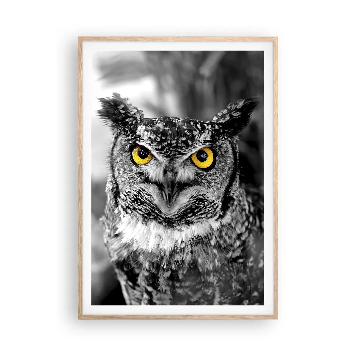 Póster en marco roble claro - Nada se puede ocultar - 70x100 cm