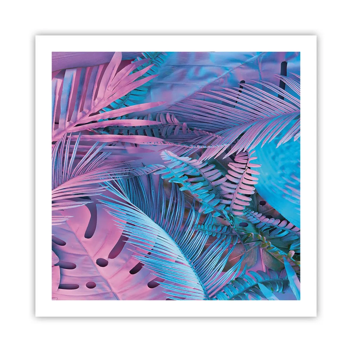 Póster - Trópicos en rosa y azul - 60x60 cm