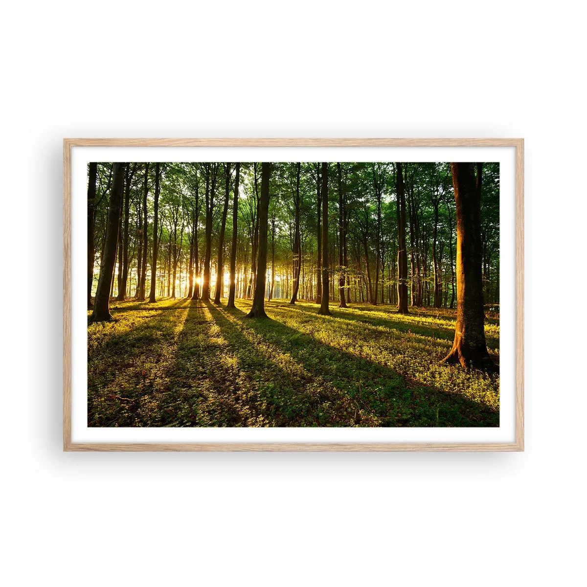 Póster en marco roble claro - Una fotografía de todos los manantiales - 91x61 cm