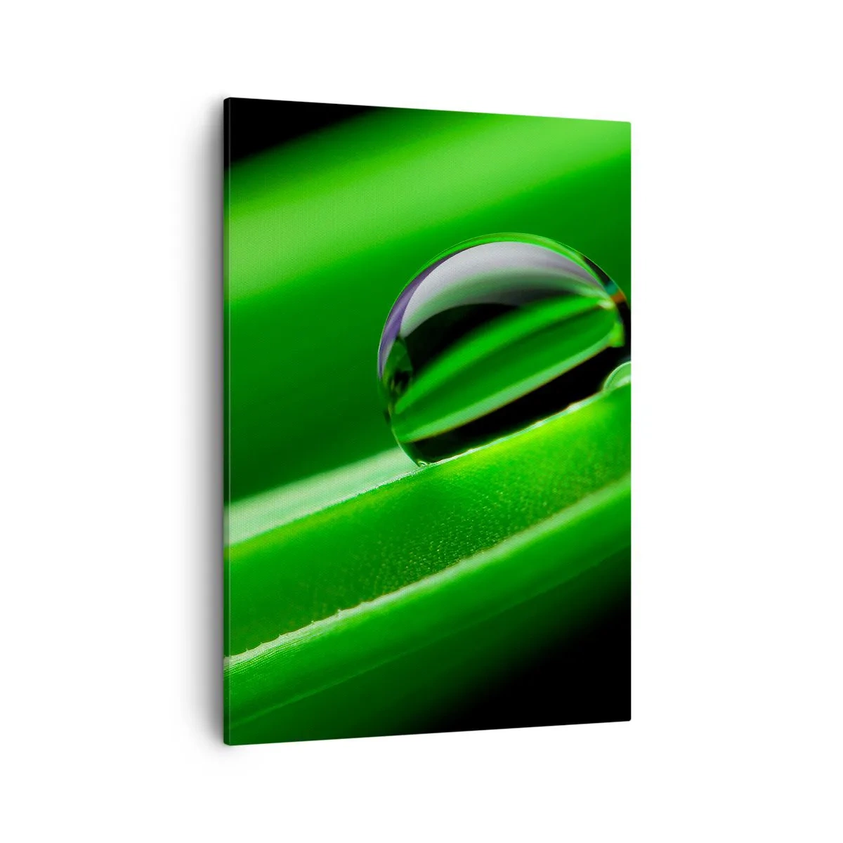 Cuadro sobre lienzo - Impresión de Imagen - Primer plano de una gota de rocío sobre una hoja verde - 50x70cm - La vida de cerca - Decoración de pared moderna para salón y dormitorio ARTTOR