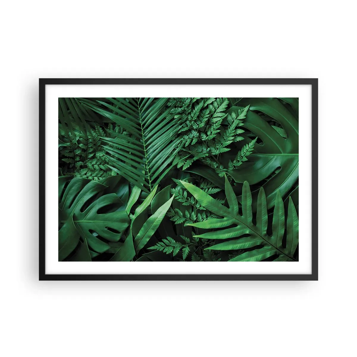 Póster en marco negro - Hojas tropicales verdes en una composición densa y natural. - 70x50cm - Abrazo verde - Decoración de pared moderna para salón y dormitorio ARTTOR
