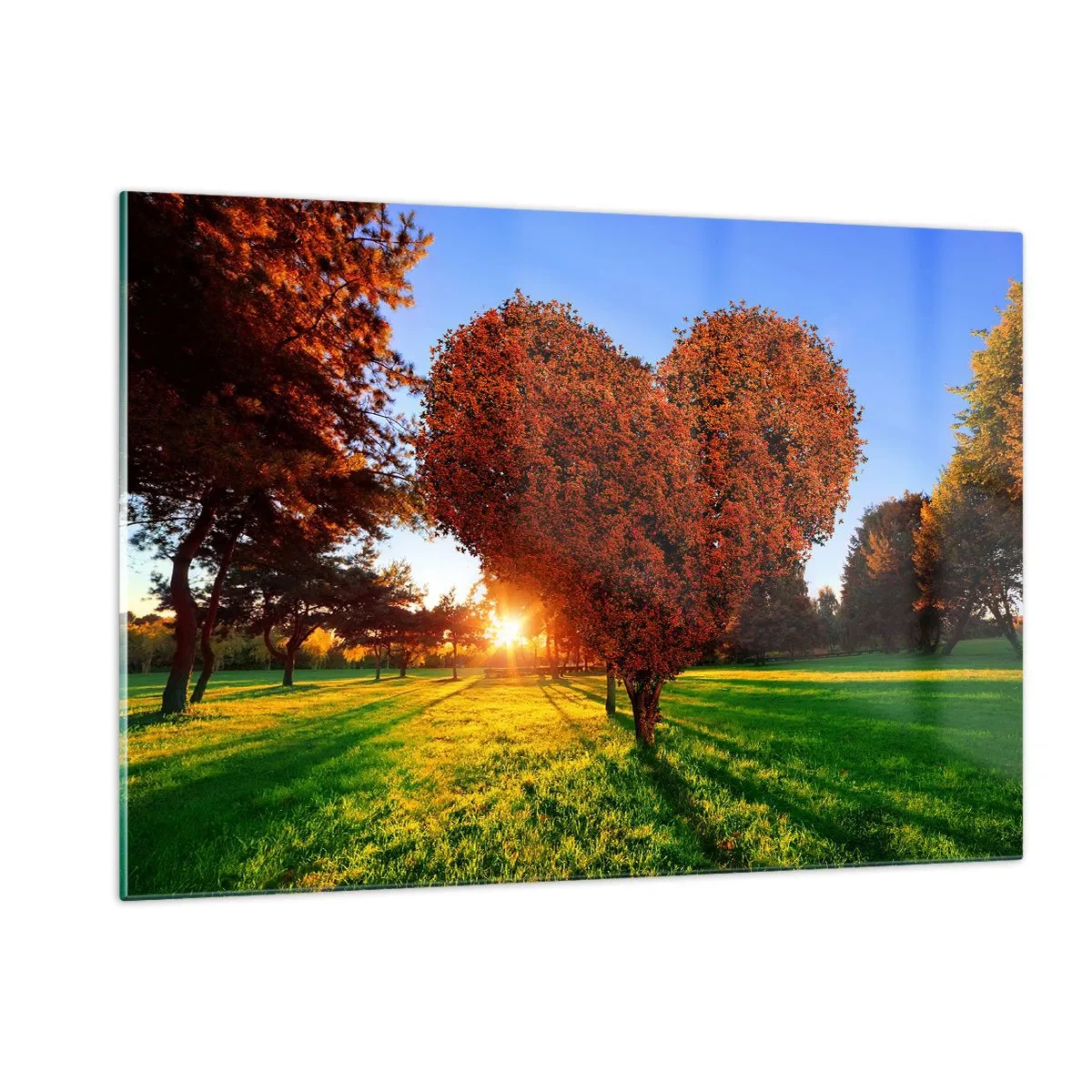 Cuadro sobre vidrio - Impresiones sobre Vidrio - Un árbol en forma de corazón con el sol poniente como telón de fondo. - 120x80cm - Y cómo no amar el otoño - Decoración de pared moderna para salón y dormitorio ARTTOR