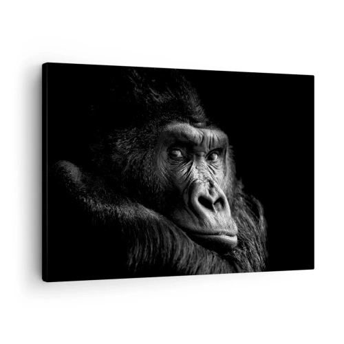 Cuadro sobre lienzo - Impresión de Imagen - Retrato en blanco y negro de un majestuoso gorila. - 70x50cm - ¿Y qué estás mirando? - Decoración de pared moderna para salón y dormitorio ARTTOR