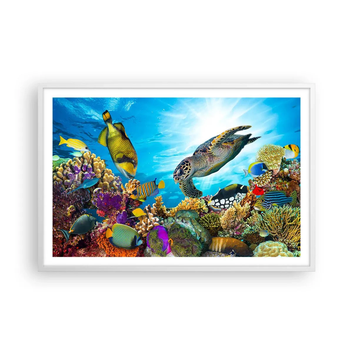 Póster en marco blanco - Paseo del coral - 91x61 cm