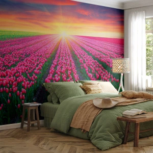 Fotomural Premium Sand - Un campo de tulipanes rosados al amanecer. - 100x70cm - Granja de belleza - Decoración de pared moderna para salón y dormitorio ARTTOR