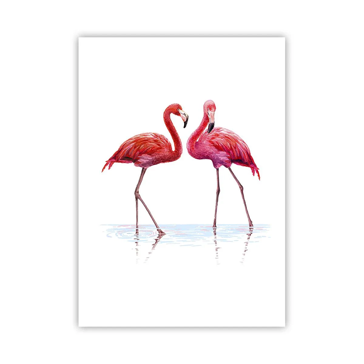 Póster - Dos flamencos sobre un fondo blanco con reflejo en el agua. - 50x70cm - Cita rosada - Decoración de pared moderna para salón y dormitorio ARTTOR