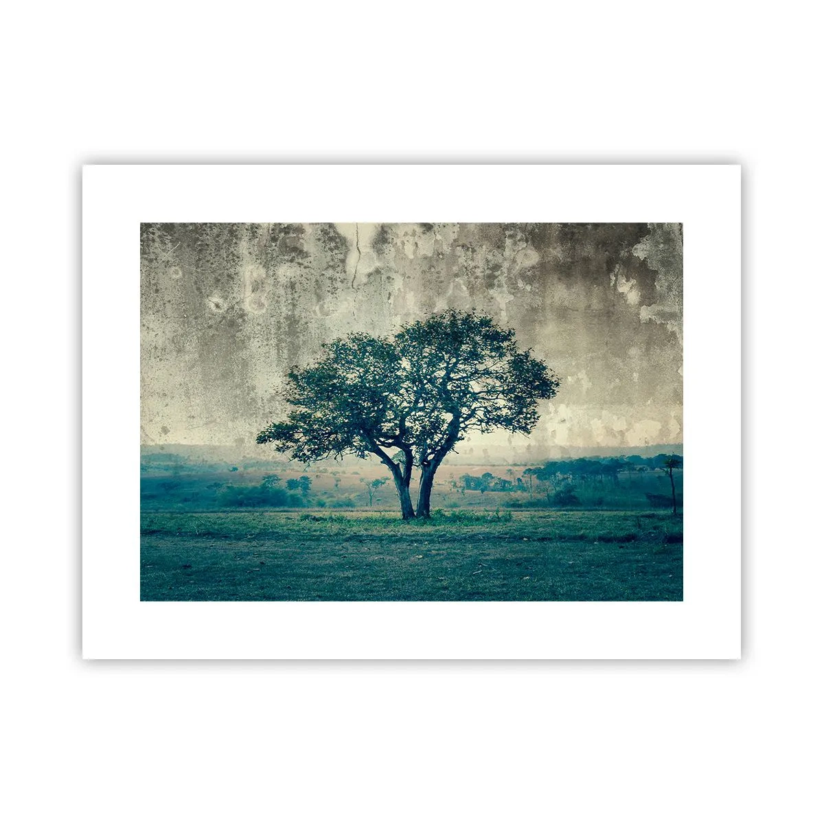 Póster - El manzano - 40x30 cm