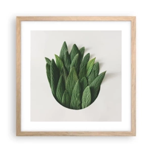 Póster en marco roble claro - Curiosidad desenfrenada - 40x40 cm