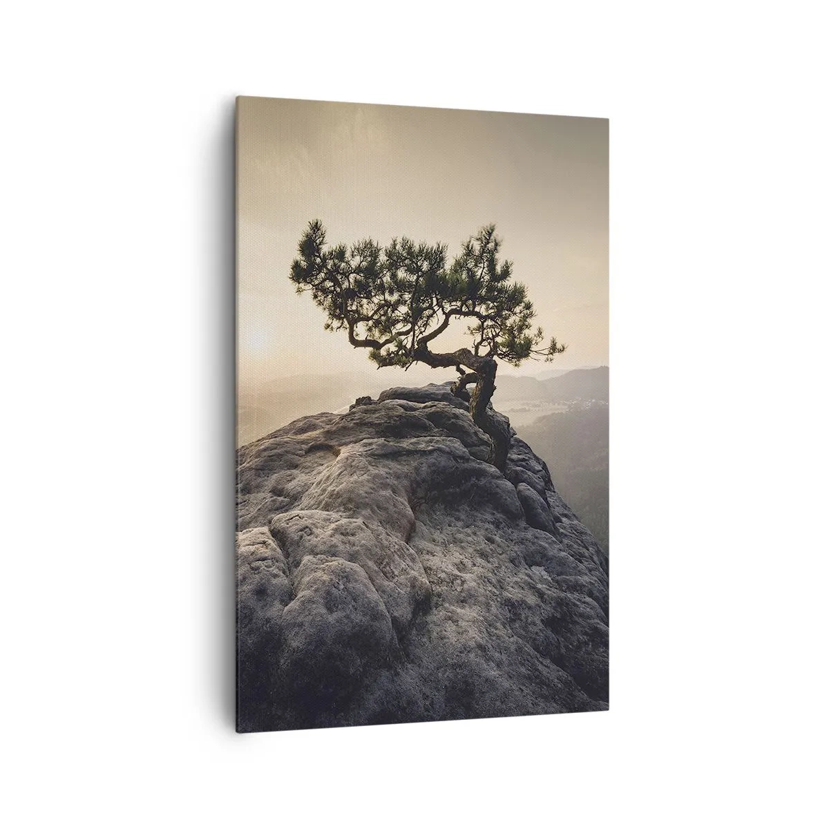 Cuadro sobre lienzo - Impresión de Imagen - Un árbol solitario en un pico rocoso a la luz del sol. - 80x120cm - La vida se abre camino - Decoración de pared moderna para salón y dormitorio ARTTOR
