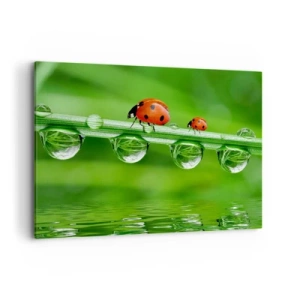 Cuadro sobre lienzo - Impresión de Imagen - Mariquitas sobre una brizna de hierba con gotas de rocío en un entorno natural. - 100x70cm - En el camino todo el verano - Decoración de pared moderna para salón y dormitorio ARTTOR