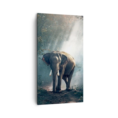 Cuadro sobre lienzo - Impresión de Imagen - Un paseo tranquilo - 45x80 cm