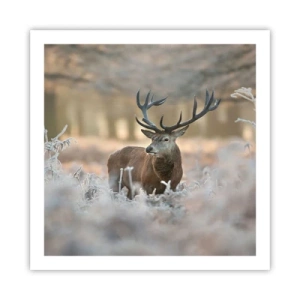 Póster - Una mañana fresca - 60x60 cm