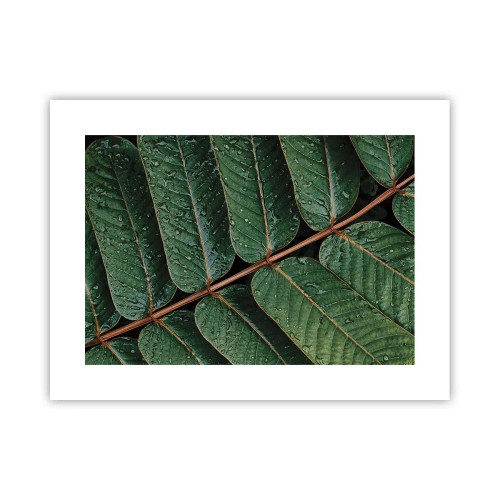 Póster - En un ritmo verde - 40x30 cm