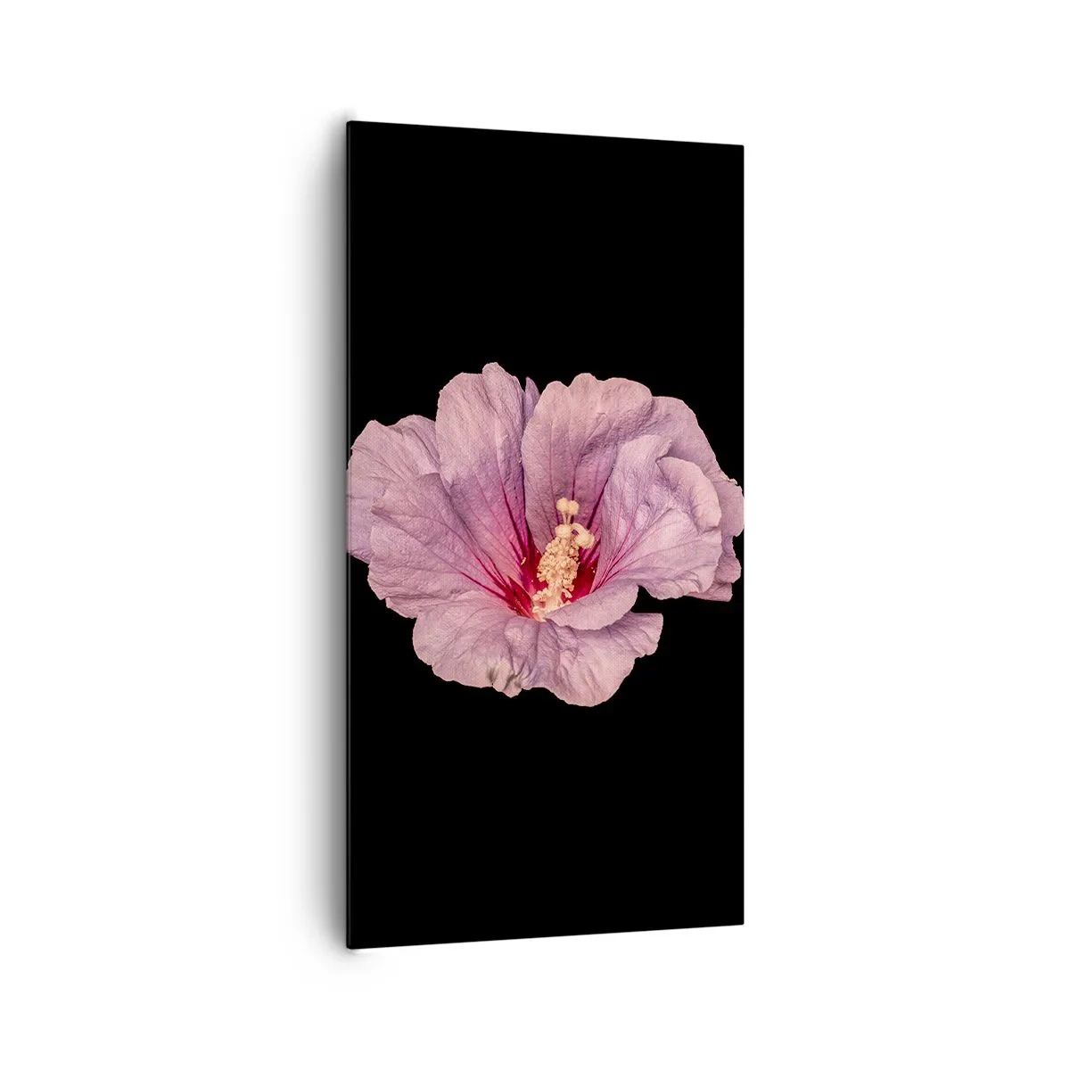 Cuadro sobre lienzo - Impresión de Imagen - Directo al corazón - 65x120 cm