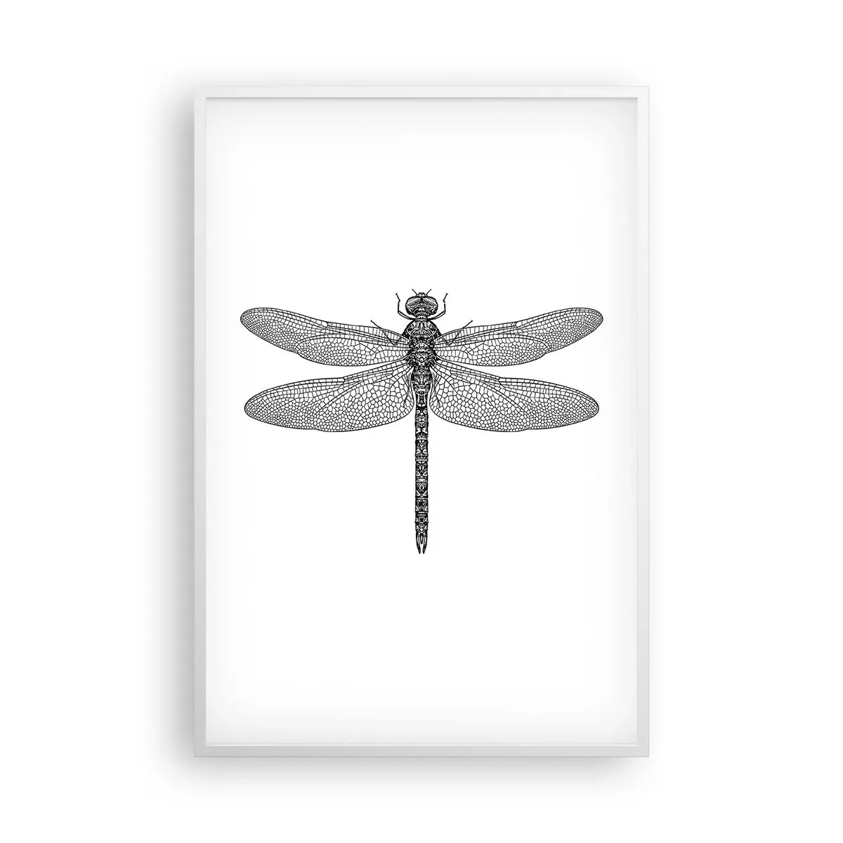 Póster en marco blanco - Precisión de la naturaleza - 61x91 cm