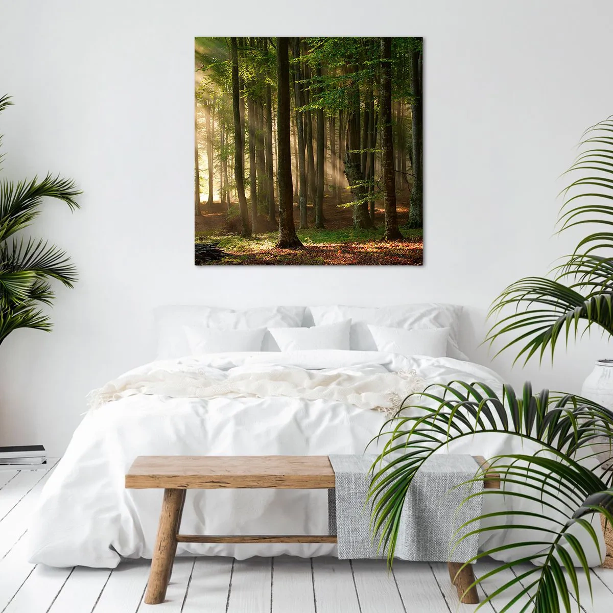 Cuadro sobre lienzo - Impresión de Imagen - Radiante en una mañana de primavera - 60x60 cm
