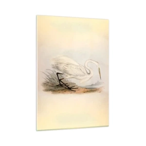 Cuadro sobre vidrio - Impresiones sobre Vidrio - Ilustración vintage de una garza blanca en la orilla del agua. - 50x70cm - Dama de los juncos - Decoración de pared moderna para salón y dormitorio ARTTOR