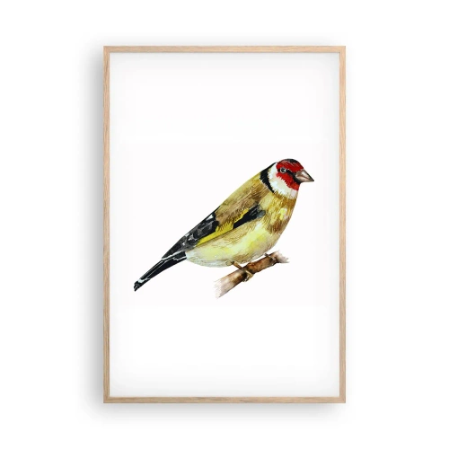 Póster en marco roble claro - Retrato de pájaro - 61x91 cm