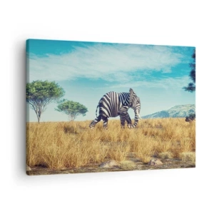 Cuadro sobre lienzo - Impresión de Imagen - Cebra en un paisaje africano - 70x50cm - El gris ya no está de moda - Decoración de pared moderna para salón y dormitorio ARTTOR