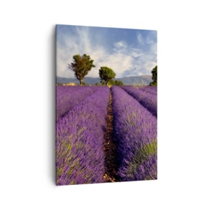 Cuadro sobre lienzo - Impresión de Imagen - Un campo de lavanda con árboles con el telón de fondo de montañas y cielo. - 50x70cm - Campos de lavanda - Decoración de pared moderna para salón y dormitorio ARTTOR