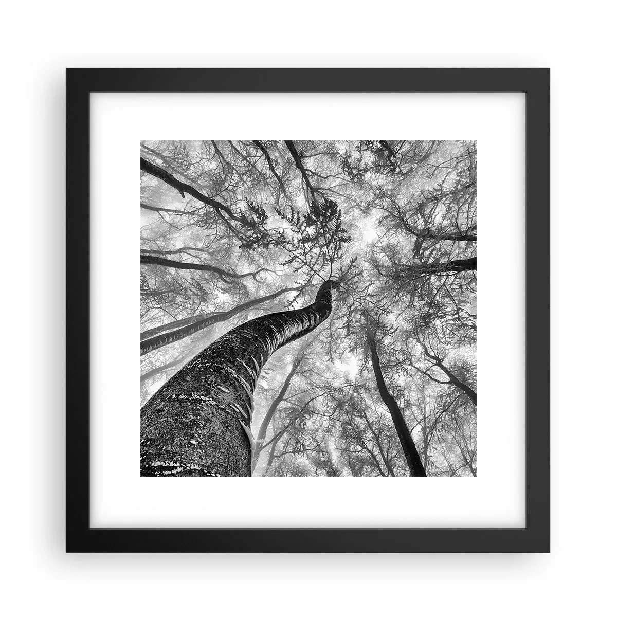 Póster en marco negro - Carrera hacia la luz - 30x30 cm