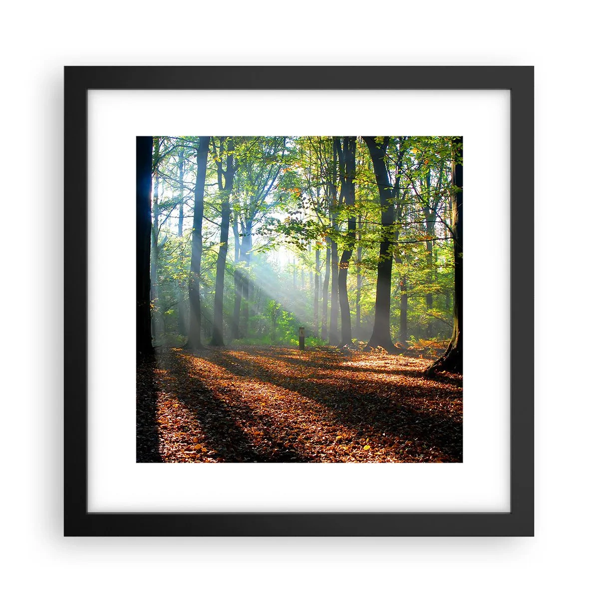 Póster en marco negro - Resplandores y sombras - 30x30 cm
