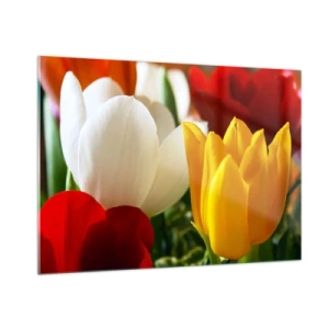 Cuadro sobre vidrio - Impresiones sobre Vidrio - Primer plano de tulipanes coloridos - 100x70cm - Fiebre del tulipán - Decoración de pared moderna para salón y dormitorio ARTTOR
