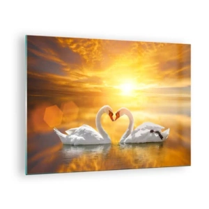 Cuadro sobre vidrio - Impresiones sobre Vidrio - Dos cisnes en el agua formando un corazón con el telón de fondo de una puesta de sol. - 70x50cm - Corazón es la palabra más bella del mundo... - Decoración de pared moderna para salón y dormitorio ARTTOR