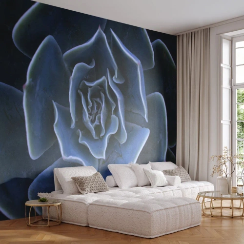 Fotomural Autadhesivo Deluxe Sticker - Flor del desierto - flor de agave, Flor, Naturaleza - 300x210 cm