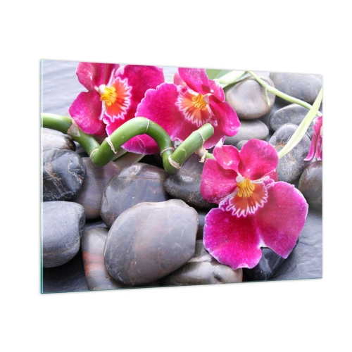 Cuadro sobre vidrio - Impresiones sobre Vidrio - Orquídeas rosas con bambú sobre piedras. - 100x70cm - Frío y calor - Decoración de pared moderna para salón y dormitorio ARTTOR