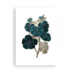 Póster - Ilustración botánica con hojas de color verde oscuro sobre un fondo claro. - 50x70cm - De un viejo herbario - Decoración de pared moderna para salón y dormitorio ARTTOR