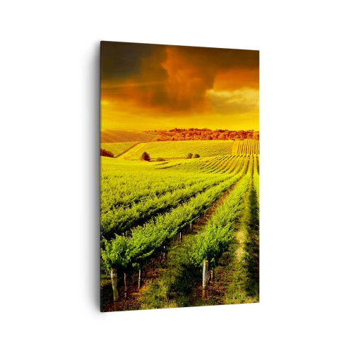 Cuadro sobre lienzo - Impresión de Imagen - Viñedos dorados iluminados por los rayos del sol. - 80x120cm - Bajo el sol de Australia - Decoración de pared moderna para salón y dormitorio ARTTOR