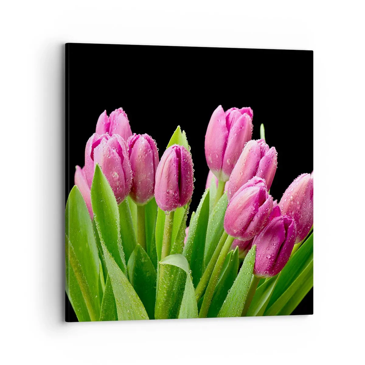 Cuadro sobre lienzo - Impresión de Imagen - La alegría de la primavera - 70x70 cm