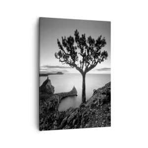 Cuadro sobre lienzo - Impresión de Imagen - Paisaje en blanco y negro con un árbol solitario en un acantilado sobre el mar. - 50x70cm - Calma hasta el horizonte - Decoración de pared moderna para salón y dormitorio ARTTOR