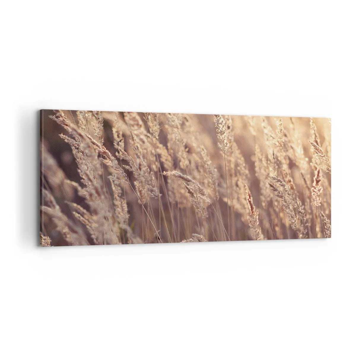 Cuadro sobre lienzo - Impresión de Imagen - Listos para dar la bienvenida al otoño - 100x40 cm